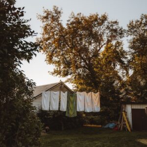 De charme van je droomtuin creëren met Postmus